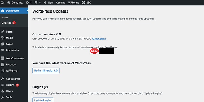 如何更好地管理 WordPress 自动更新
