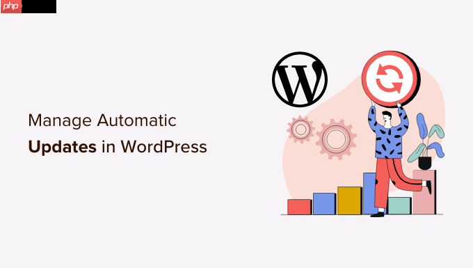 如何更好地管理 WordPress 自动更新