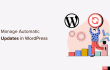如何更好地管理 WordPress 自动更新