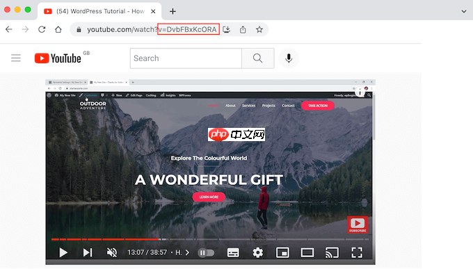如何在 WordPress 中添加特色视频缩略图