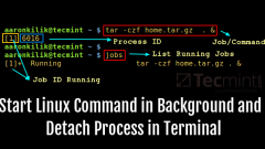 Exécutez les commandes Linux en arrière-plan et détachez-vous du terminal