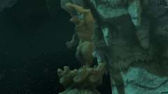 Zelda Tears of the Kingdom Camera Work in The Depths walkthrough