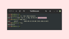 Qu'est-ce que / dev / tty, / dev / tty0, et / dev / console dans Linux