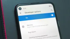 How to Activate the Hidden Developer Options Menu on Your Pixel 4a