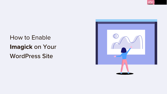 如何在 WordPress 网站上启用 Imagick