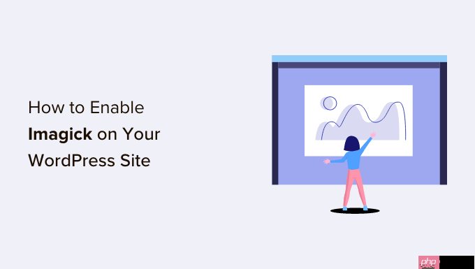 如何在 WordPress 網站上啟用 Imagick-小浪學習網