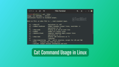 22 Essential Cat Command Examples for Linux Users