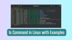 20 Basic Linux 'ls' Command with Examples for Beginners
