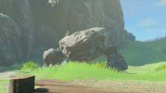Wie man den Stein -Talus in Zelda Tr?nen des K?nigreichs besiegt