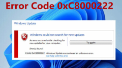 Windows 11?? ?? ?? 0xc8000222? ???? ??? ?????? 5 ?? ??? ??????! - ?? ?