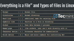 Semuanya adalah fail dan jenis fail di linux