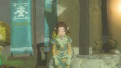 How to complete Cece's Secret in Zelda Tears of the Kingdom