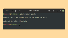 How to Fix 'pip command not found' in Linux