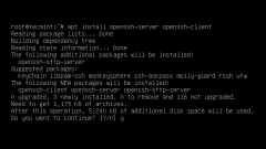 Cara Memasang dan Konfigurasi Pelayan OpenSSH di Linux