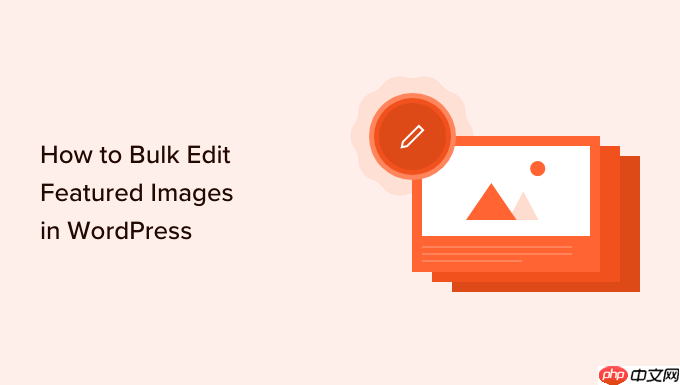 如何在 WordPress 中批量编辑精选图像