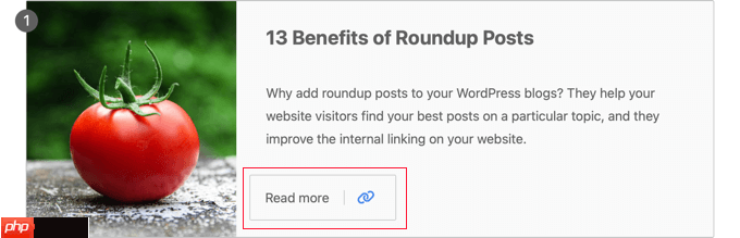 如何在 WordPress 中创建综述文章（简单方法）