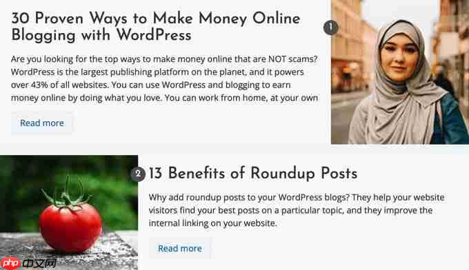 如何在 WordPress 中创建综述文章（简单方法）