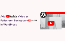 如何在 WordPress 中添加 YouTube 视频作为全屏背景