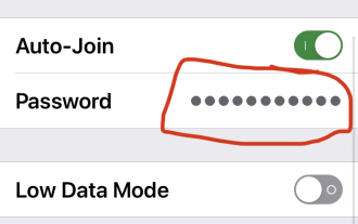 How to See a Wi-Fi Password on iPhone
