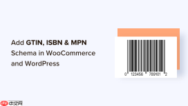 如何在 WordPress 中添加 GTIN、ISBN 和 MPN 架构