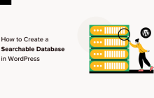 如何在 WordPress 中创建可搜索数据库（分步）