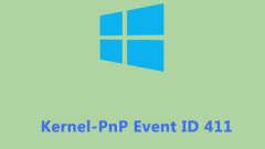 ?? -PNP ??? ID 411? ?? ???? ?? Windows 10/11