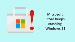 ?? : Microsoft Store ?? Windows 11?? ?? ????? - Minitool