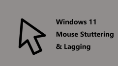 Windows 11 ??? ???? ??? ???? ??? ?????? - ?? ?