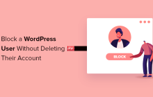 如何阻止 WordPress 用户而不删除其帐户