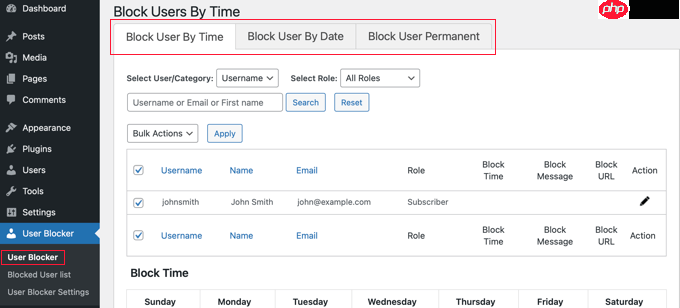 如何阻止 WordPress 用户而不删除其帐户