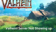 ?? : Valheim Server? ????? ???? ??? ???? ?? -Minitool