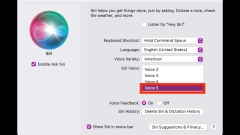 How to Use the Gender Neutral Siri Voice