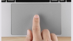 Tap to Click Not Working on Mac? Here’s How to Fix It