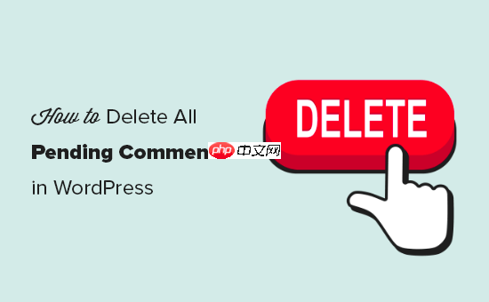 如何删除 WordPress 中的所有待处理评论-小浪学习网