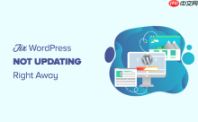如何修复 WordPress 网站不立即更新的问题