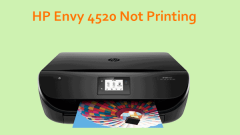 Tetap HP Envy 4520 Tidak Mencetak Warna/Hitam atau Cetakan Halaman kosong - MINITOOL