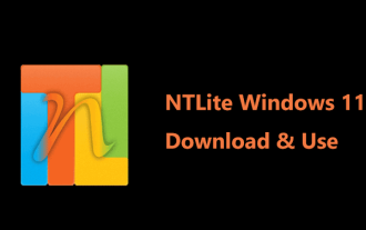 NTLITE Windows 11:下載並用來創建自己的Lite Edition -Minitool