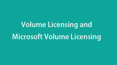 Volumenlizenz- und Microsoft Volumen -Lizenzierung - Minitool