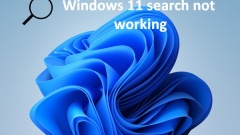 So funktionieren Sie die Suche nicht auf Windows 11 PC