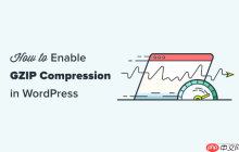 如何在 WordPress 中啟用 GZIP 壓縮（3 種方法）