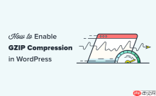 如何在 WordPress 中启用 GZIP 压缩（3 种方法）