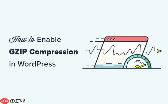 如何在 WordPress 中启用 GZIP 压缩（3 种方法）