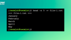 How to Use 'head' Command to Manage Files Effectively