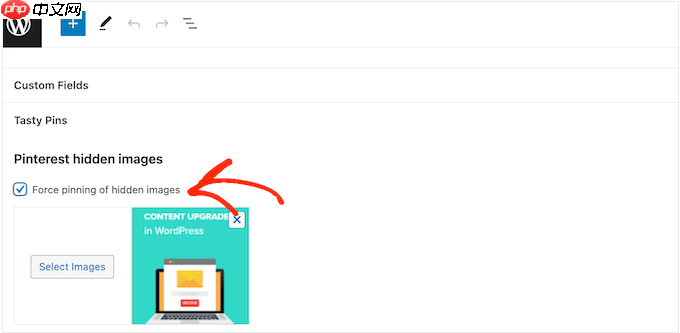 如何在 WordPress 博客文章中隐藏 Pinterest 图像