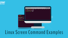 20 Screen Command Examples to Manage Linux Terminals