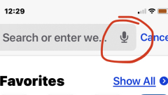 Remove Dictation Button from Safari Address Bar on iPhone & iPad