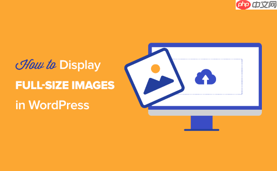 如何在 WordPress 中显示全尺寸图像（4 种方法）