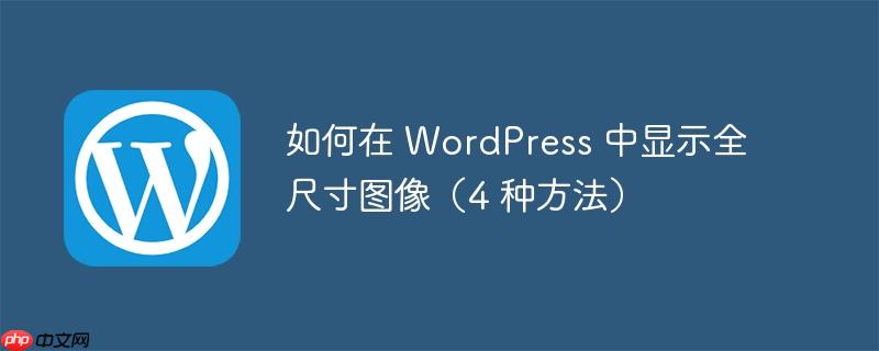 如何在 wordpress 中显示全尺寸图像（4 种方法）