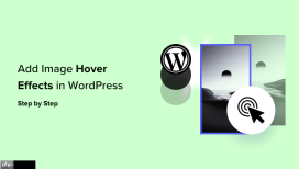 如何在 WordPress 中添加图像悬停效果（分步）