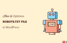 如何優(yōu)化 WordPress Robots.txt 以進(jìn)行 SEO